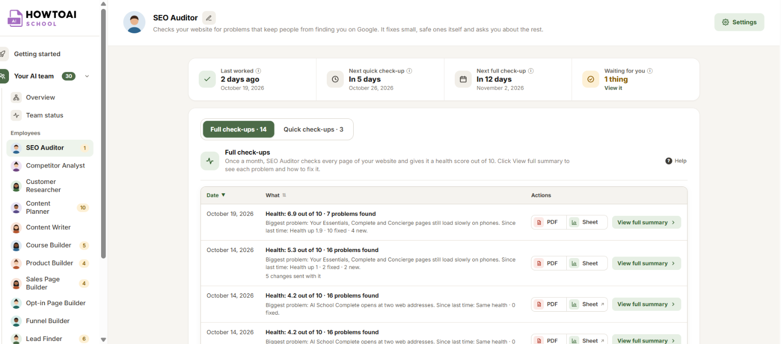 The SEO Auditor's page with its full check-ups