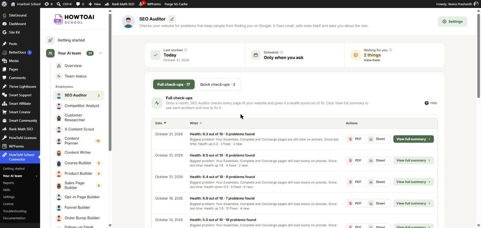 The SEO Auditor’s page with its full check-ups