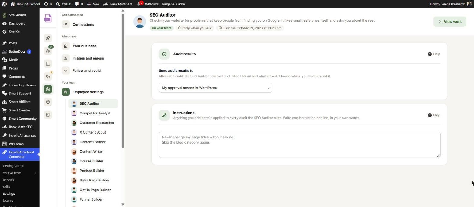 The SEO Auditor’s settings in WordPress