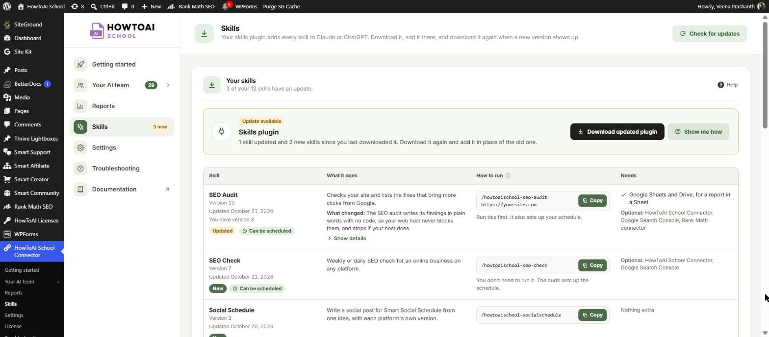 The skills plugin bar when an update is available